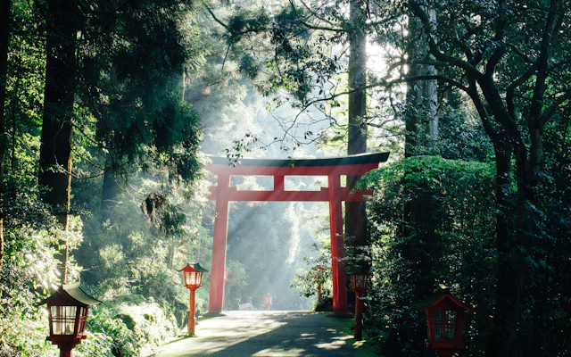 森の参道に立つ赤い鳥居